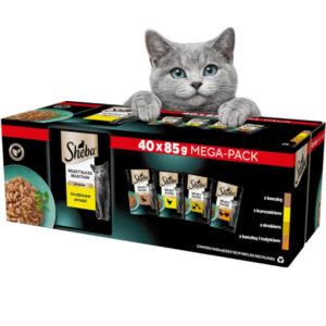 1adfa19f699f3a7ee37c619ad9630706