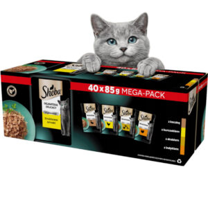 da5a19b5f351556b369cdb60accfd31a