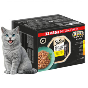 8e637009f699154f5261862c0a3b4437